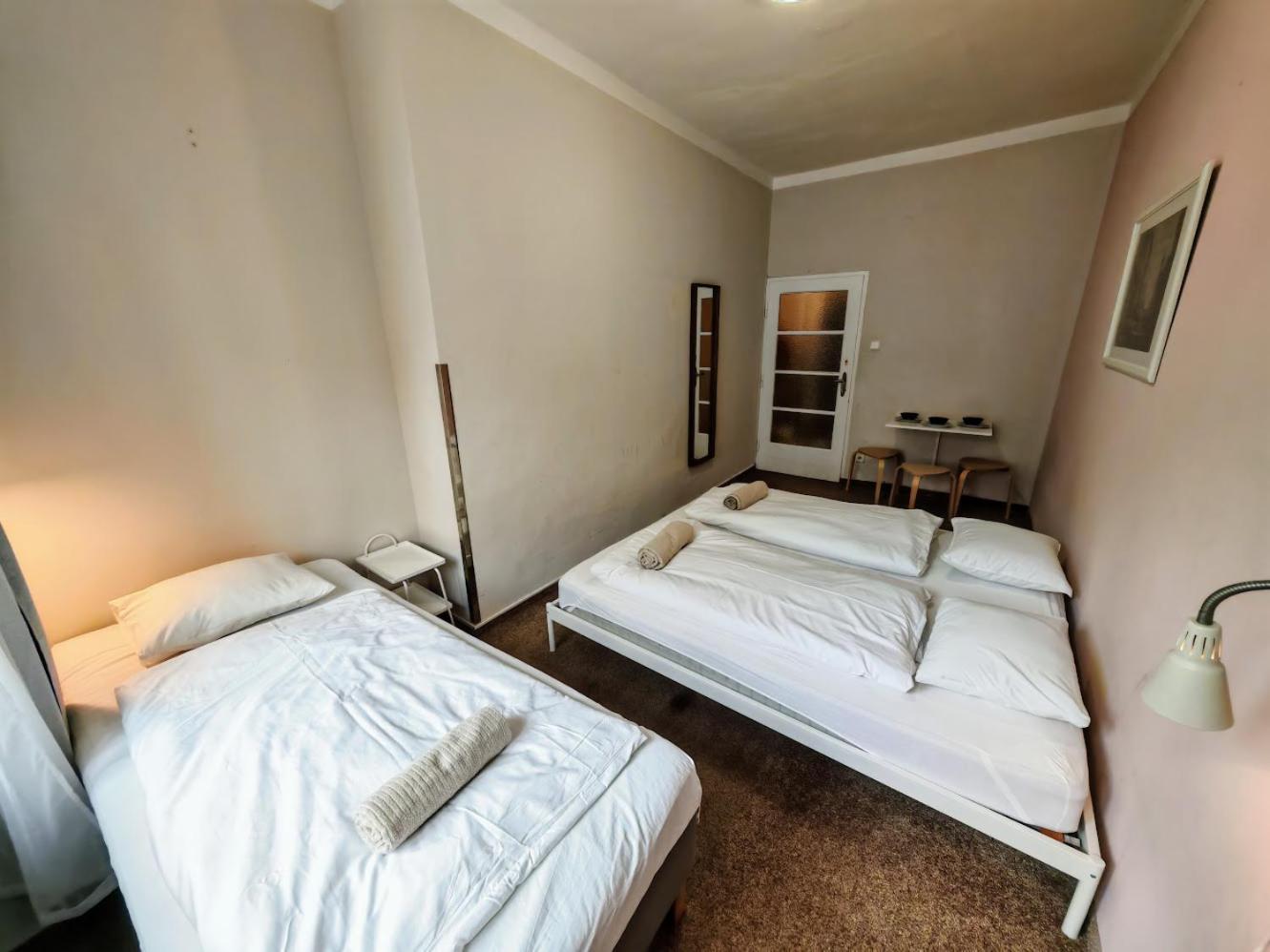 In Zizkov -301- Appartement